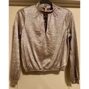 Express shimmer blouse
